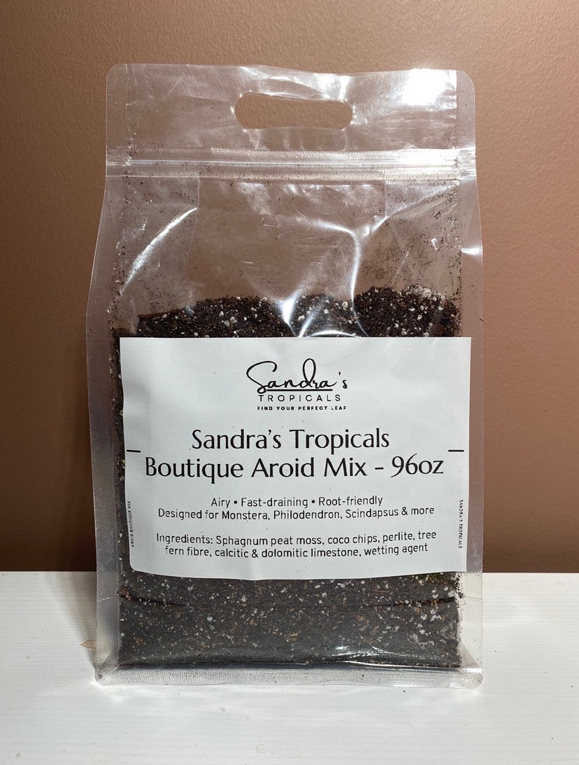 Sandra's Tropicals Boutique Aroid Mix