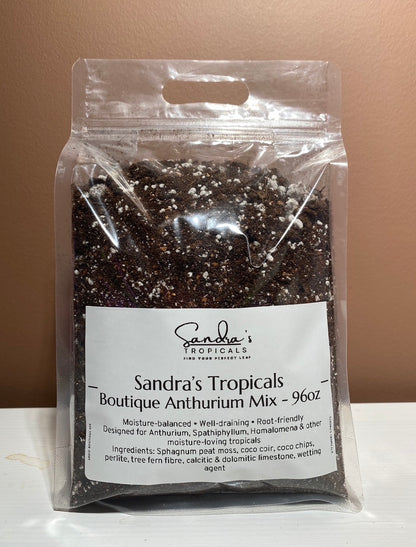 Sandra's Tropicals Boutique Anthurium Mix