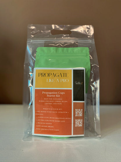 Propagate Like a Pro – Propagation Cups Starter Kit