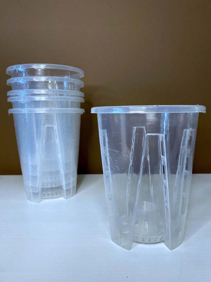 Transparent Pots with Slits