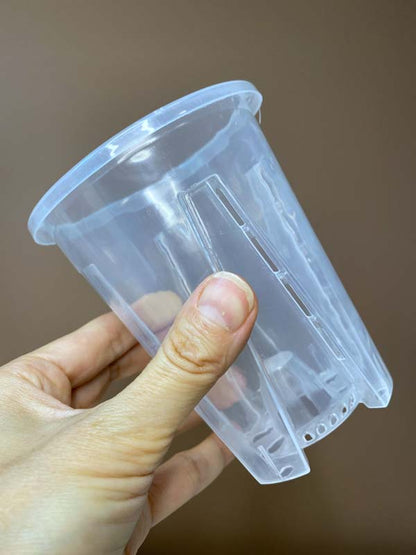 Transparent Pots with Slits