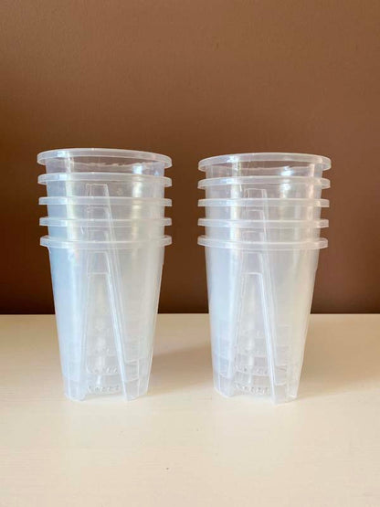 Transparent Pots with Slits