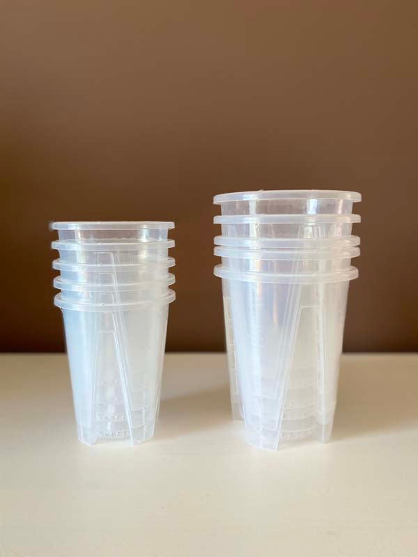 Transparent Pots with Slits