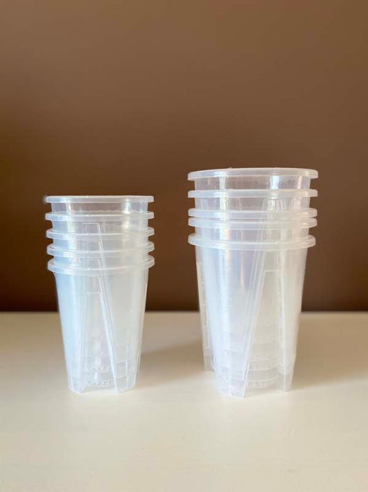 Transparent Pots with Slits